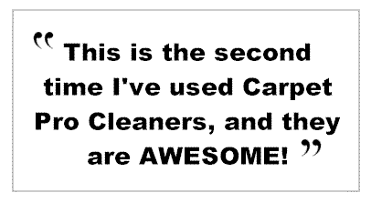 Customer Review Raleigh Carpet Cleaning
