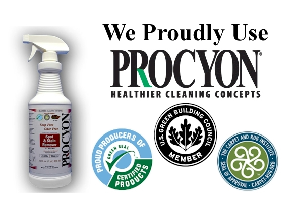 Procyon Healthier Cleaning Concepts